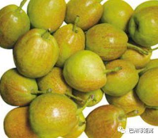 巴州特色農(nóng)產(chǎn)品依托航空實現(xiàn)銷售突破