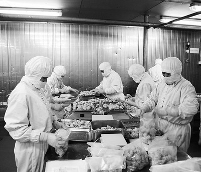 青島檢驗(yàn)檢疫局助禽類產(chǎn)品企業(yè)出口逆市增長(附圖)