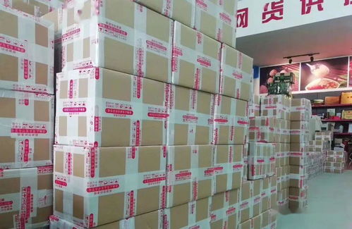 隴小南 成長(zhǎng)記