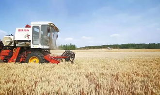 如果農村沒有人種地了,最先扛不住的是農民