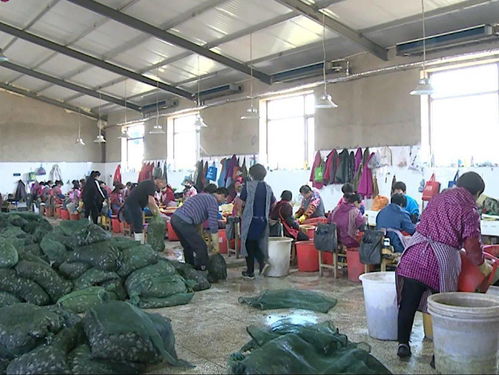 放心水產苗種放心養(yǎng)