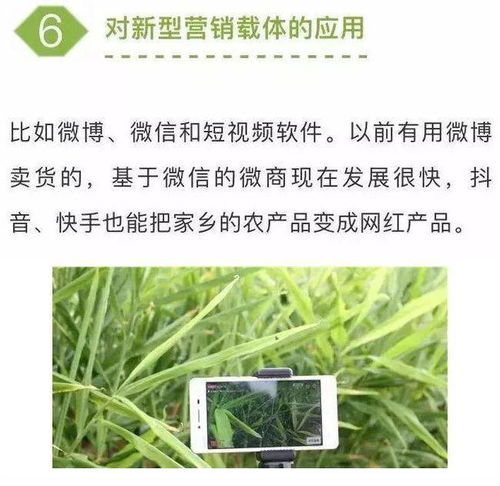 農(nóng)業(yè)七大新型營銷模式，學(xué)會一個家禽銷售就能賺不少