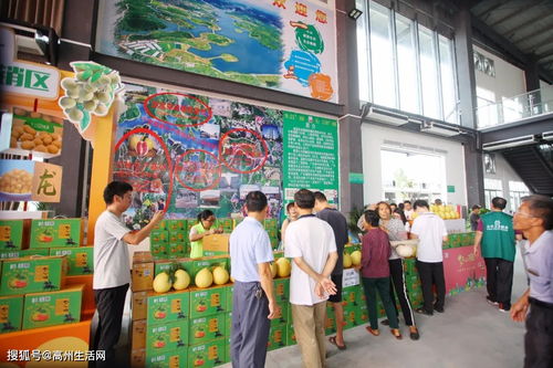 高州市鎮江鎮扶貧農產品日銷超14萬元 線上線下融合驅動家禽銷售新突破